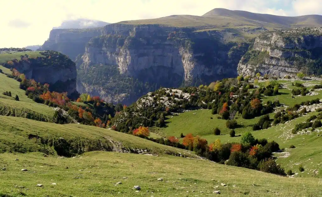 Praderas verdes del caños de Añisclo en el Parque Nacional de Ordesa en los Pirineos