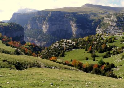 Praderas verdes del caños de Añisclo en el Parque Nacional de Ordesa en los Pirineos
