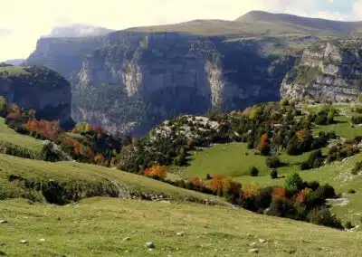 Praderas verdes del caños de Añisclo en el Parque Nacional de Ordesa en los Pirineos