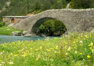 Puente de San Nicolas de Bujaruelo río Ara entre flores silvestres en Primavera